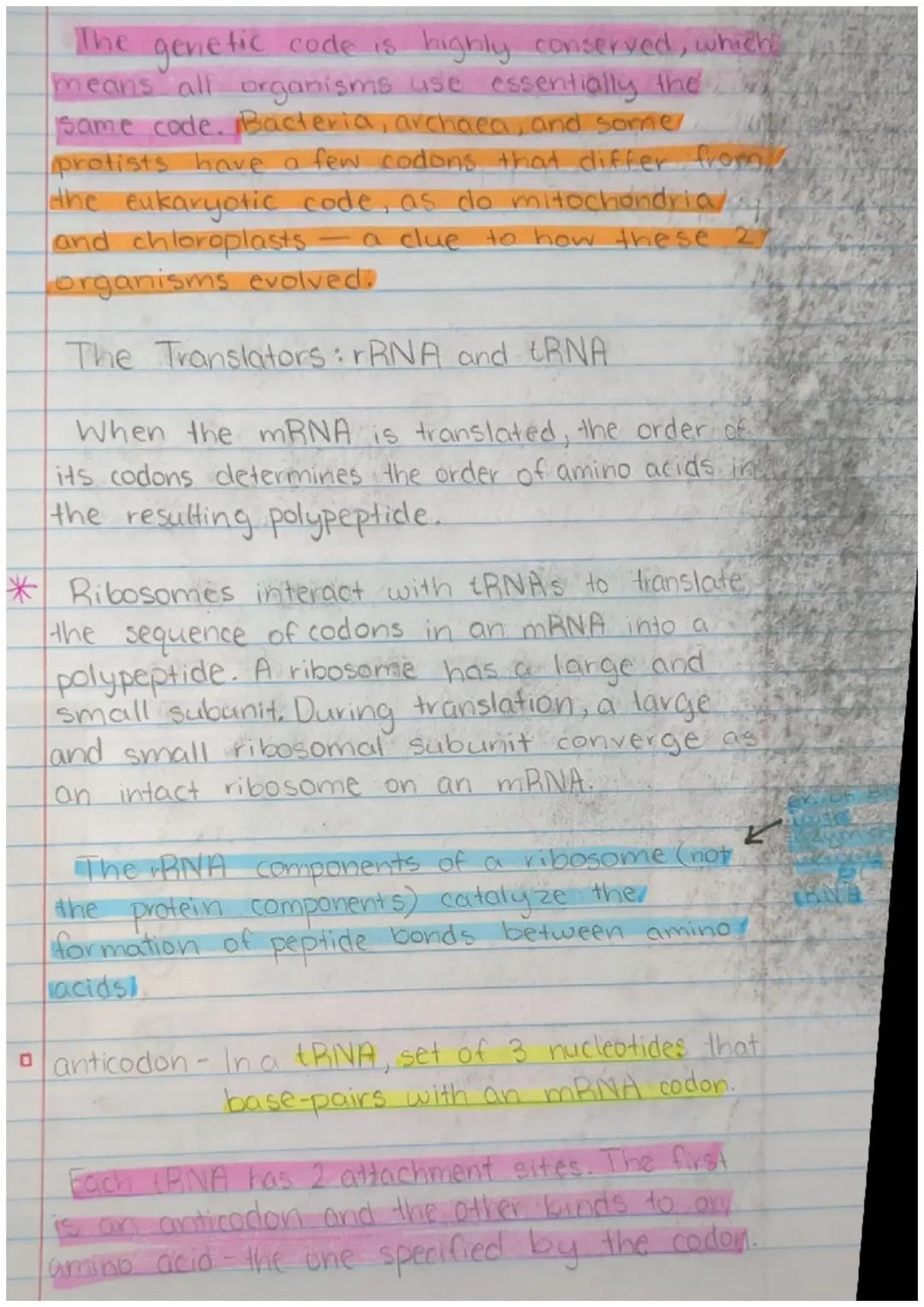 # 9.3 RNA and the Genetic Code

DNA stores heritable info about proteins, but
making those proteins requires mRNA, EANA,
and BNA.

* The Mes