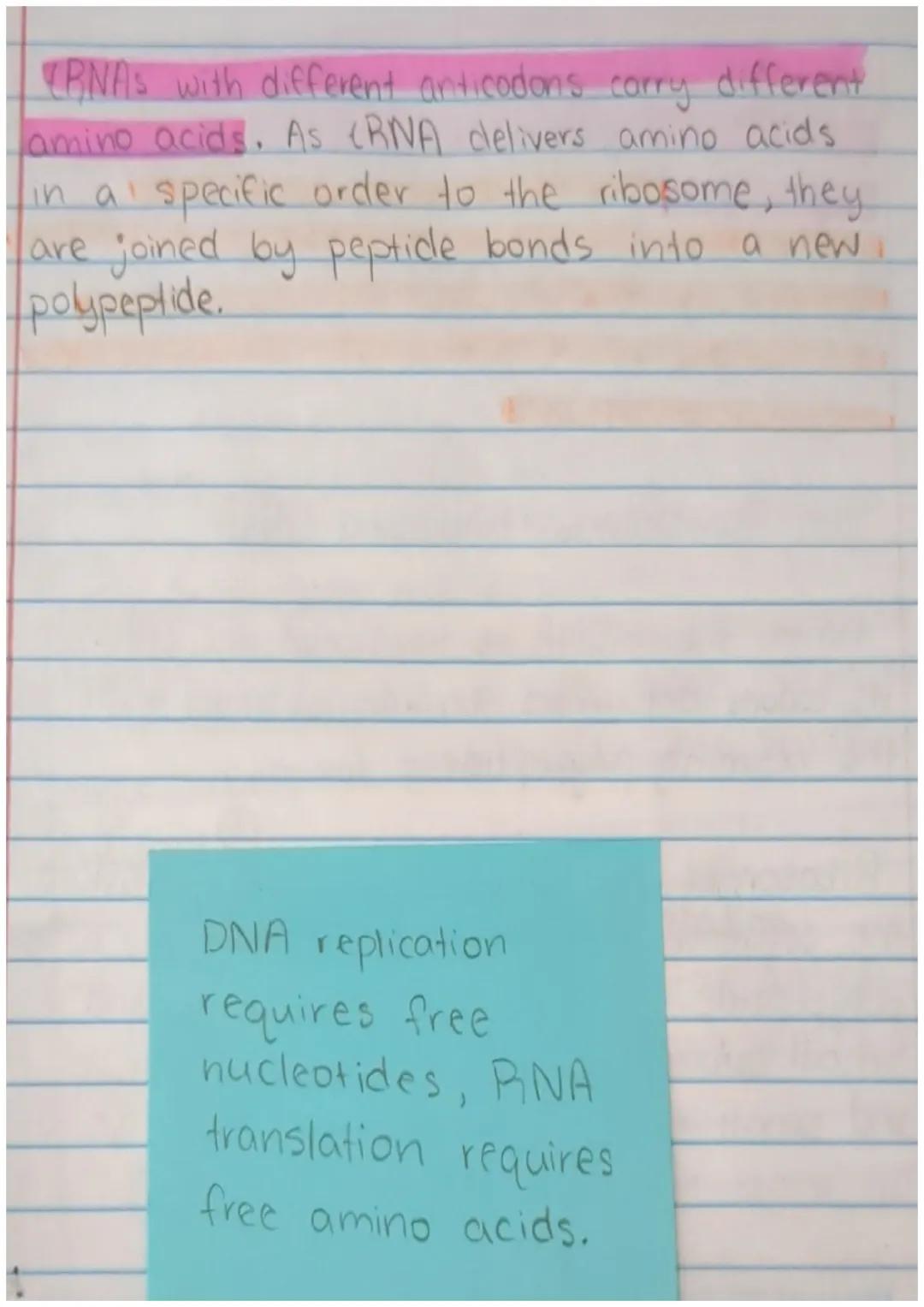 # 9.3 RNA and the Genetic Code

DNA stores heritable info about proteins, but
making those proteins requires mRNA, EANA,
and BNA.

* The Mes