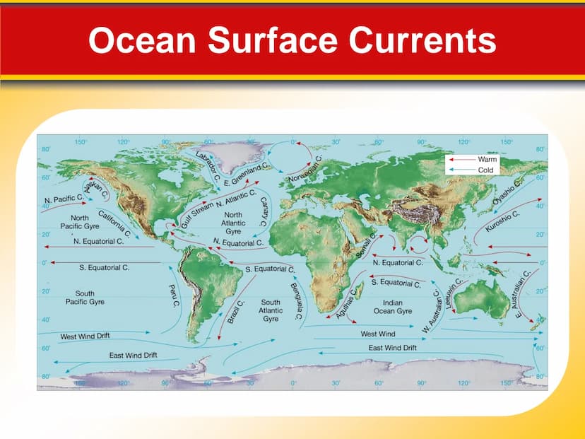 Chapter
16
The Dynamic Ocean 16.1 The Composition of Seawater
Surface Circulation
Ocean current is the mass of ocean water
that flows from o