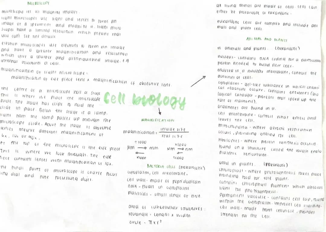 Cool Cell Biology: Easy Microscopy Methods & Cell Differences for Kids