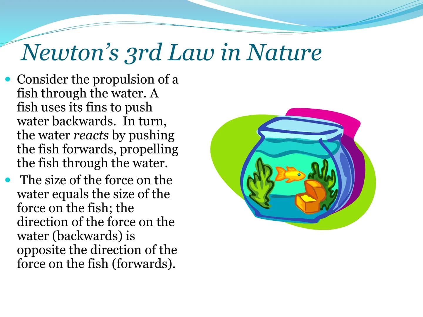 Newton's Third
Law of Motion 3rd Law
For every action, there is an
equal and opposite reaction.
• That is to say that whenever an object
pus
