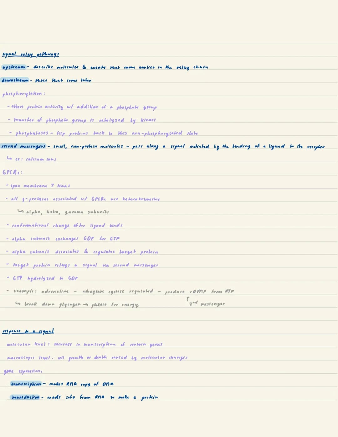 Khan Academy Unit 4-cell communication & cycle
cell signaling
-sending sell produces prokins (chemical signals) which are secreted into the 