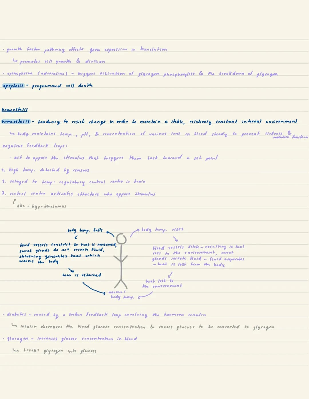 Khan Academy Unit 4-cell communication & cycle
cell signaling
-sending sell produces prokins (chemical signals) which are secreted into the 