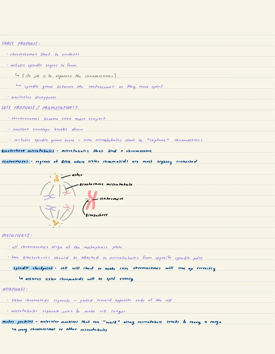 Khan Academy Unit 4-cell communication & cycle
cell signaling
-sending sell produces prokins (chemical signals) which are secreted into the 