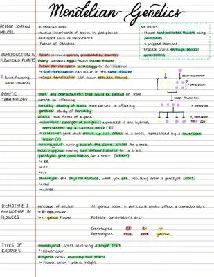 Know Mendelian Genetics thumbnail