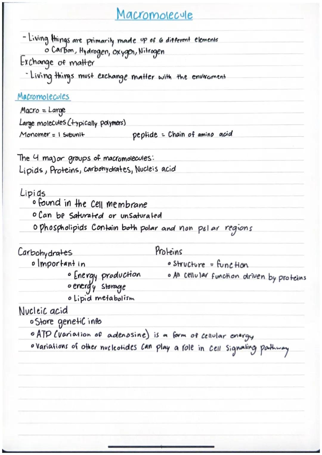 Macromolecules in Living Things