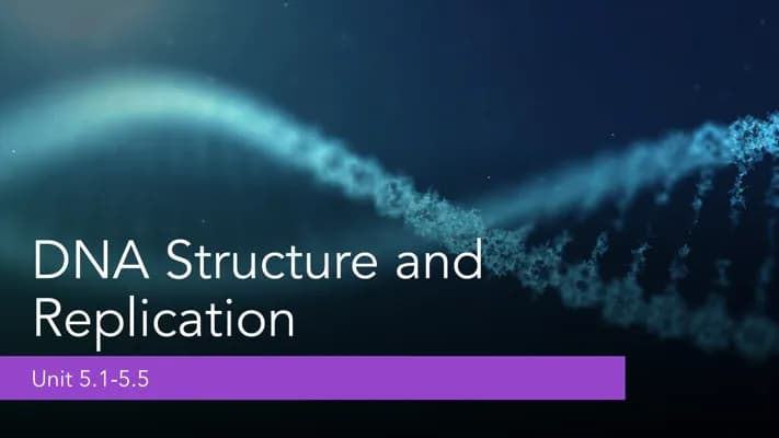 Know  DNA structure and DNA replication  thumbnail
