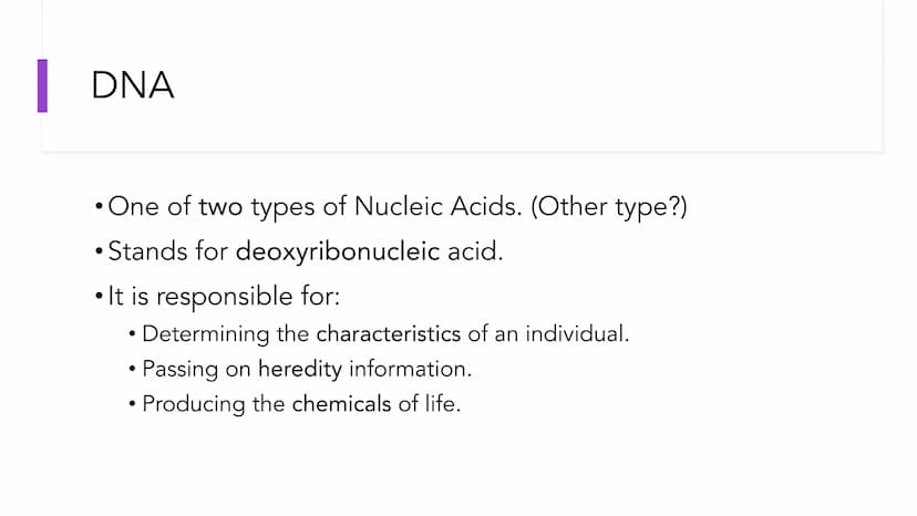 DNA Structure and
Replication
Unit 5.1-5.5 | DNA
●
• One of two types of Nucleic Acids. (Other type?)
Stands for deoxyribonucleic acid.
• It