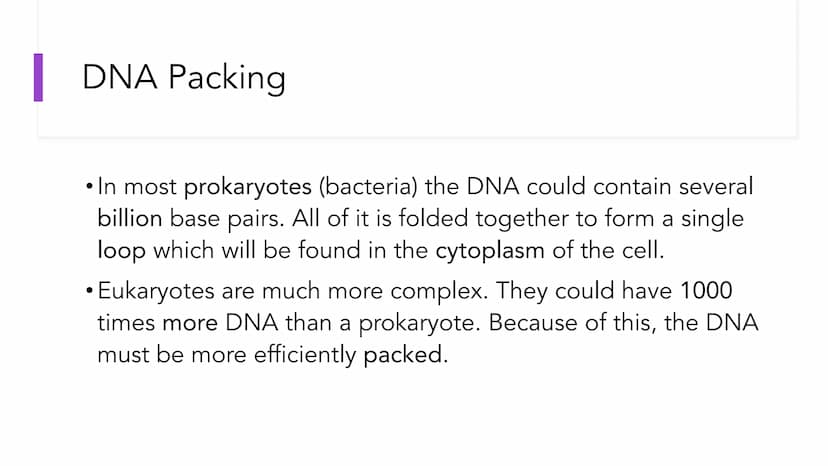 DNA Structure and
Replication
Unit 5.1-5.5 | DNA
●
• One of two types of Nucleic Acids. (Other type?)
Stands for deoxyribonucleic acid.
• It