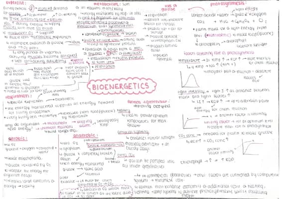 Know Bioenergetics - BIOLOGY (combined/ higher) thumbnail