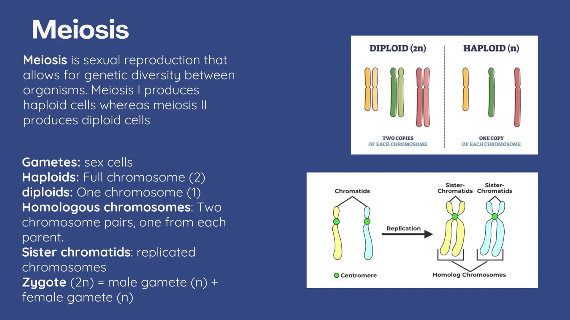 no
SL
Unit 5 AP bio
review
Meiosis
(non) Mendelian
Chromosomal
inheritance Meiosis
Meiosis is sexual reproduction that
allows for genetic di