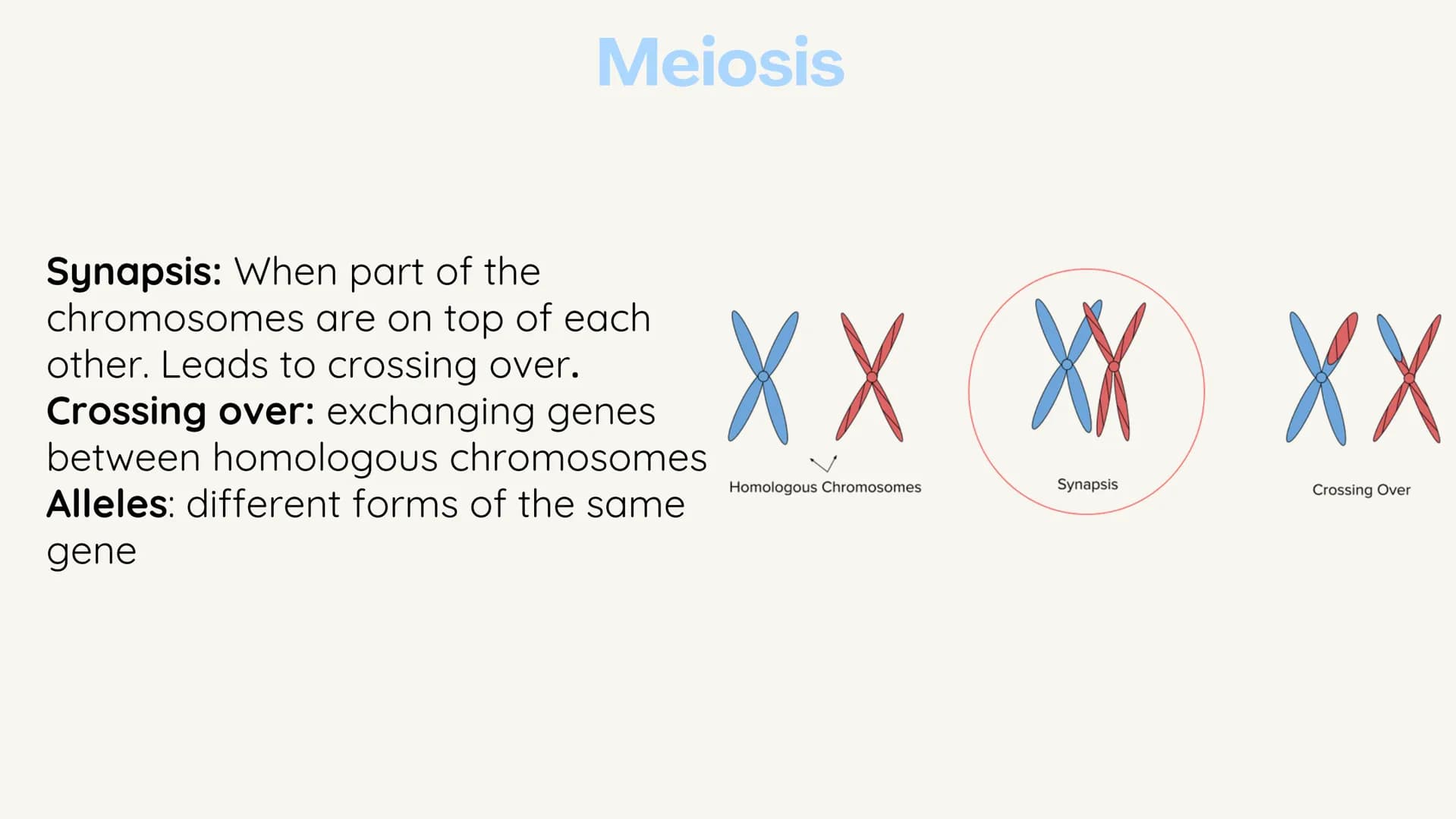 no
SL
Unit 5 AP bio
review
Meiosis
(non) Mendelian
Chromosomal
inheritance Meiosis
Meiosis is sexual reproduction that
allows for genetic di