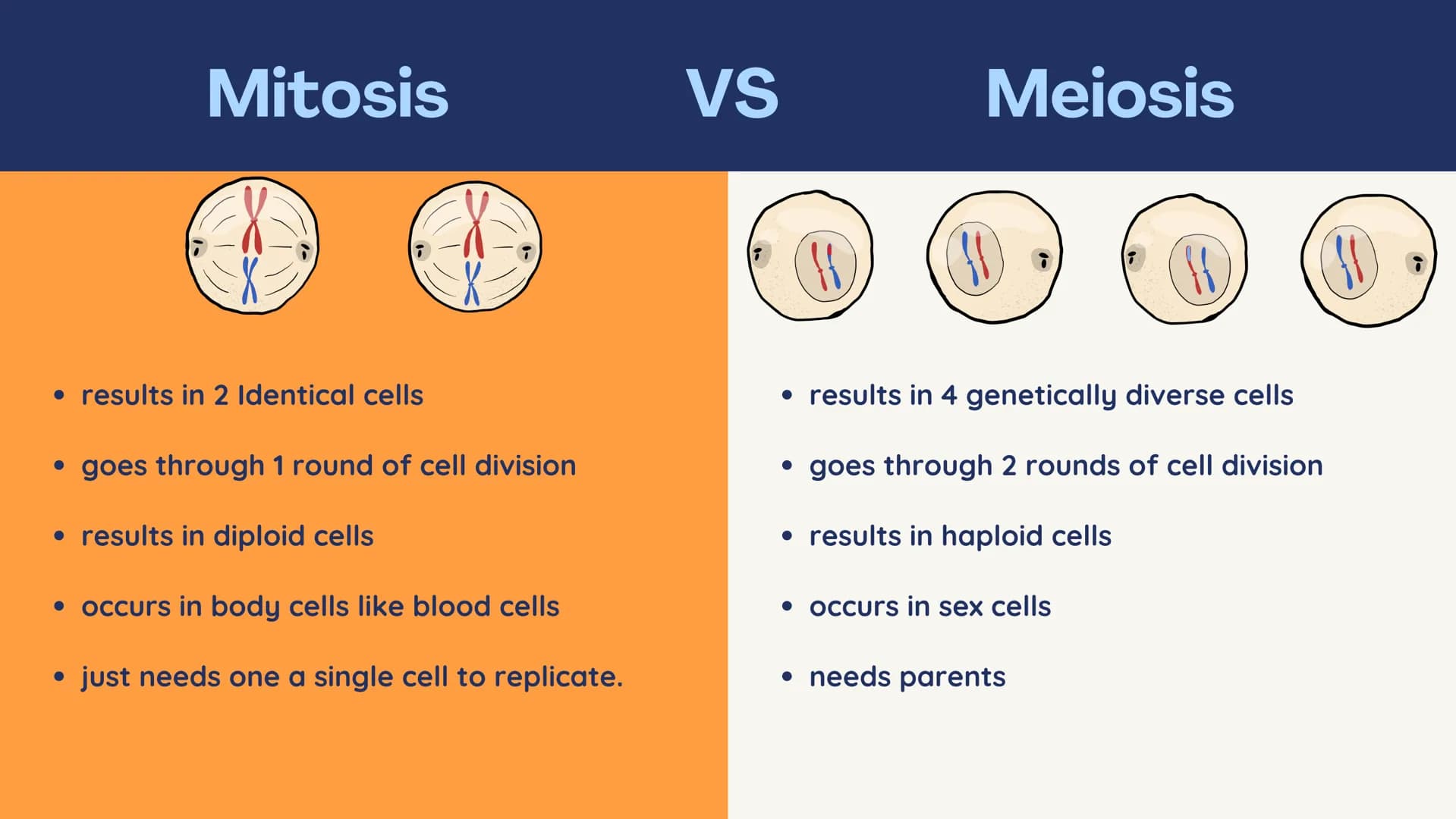 no
SL
Unit 5 AP bio
review
Meiosis
(non) Mendelian
Chromosomal
inheritance Meiosis
Meiosis is sexual reproduction that
allows for genetic di