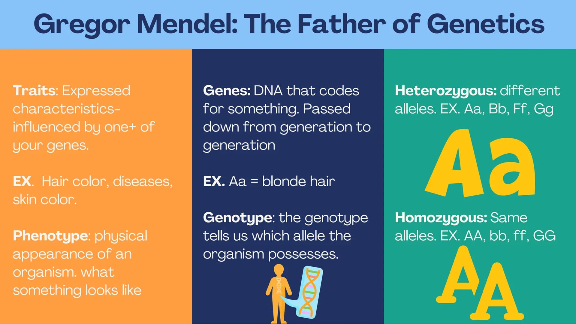 no
SL
Unit 5 AP bio
review
Meiosis
(non) Mendelian
Chromosomal
inheritance Meiosis
Meiosis is sexual reproduction that
allows for genetic di