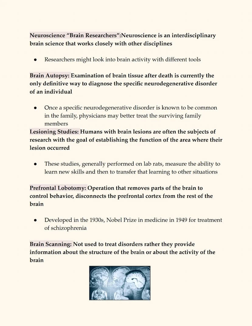 
<p>The peripheral nervous system consists of all nerve cells outside of the central nervous system, connecting the CNS to the rest of the b