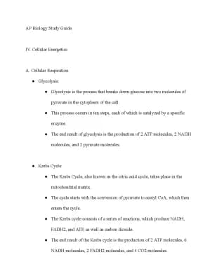 Know AP Biology Exam Study Guide: 4. Cellular Energetics thumbnail