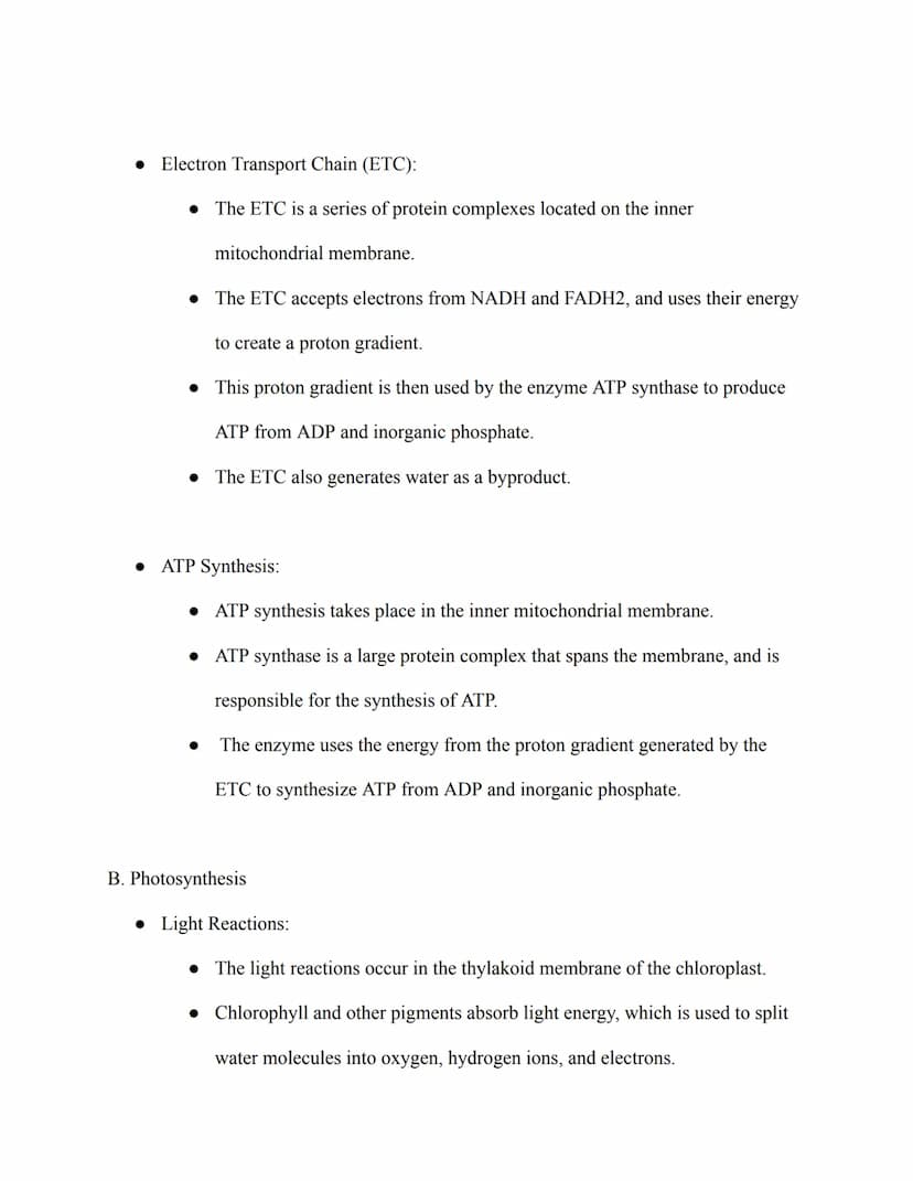 AP Biology Study Guide
IV. Cellular Energetics
A. Cellular Respiration
• Glycolysis:
• Glycolysis is the process that breaks down glucose in