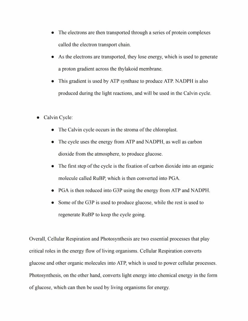 AP Biology Study Guide
IV. Cellular Energetics
A. Cellular Respiration
• Glycolysis:
• Glycolysis is the process that breaks down glucose in