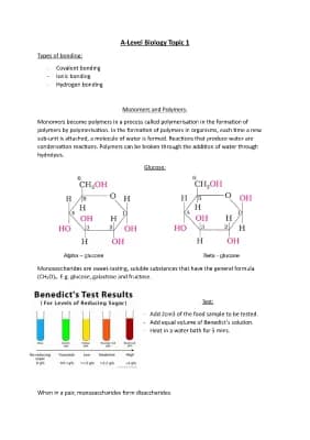 Know  A-Level Biology Biological Molecules thumbnail