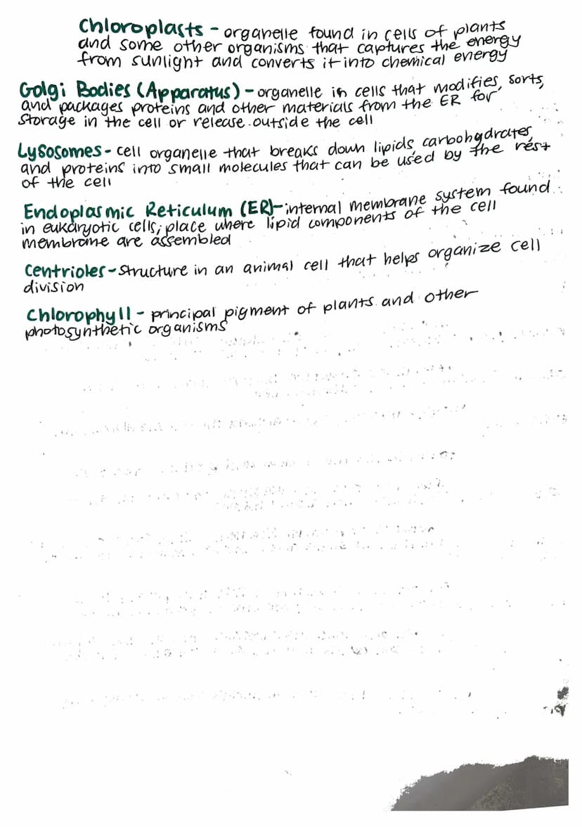(
biology
Unit 2 vocab 8.26.23
Cell theory-fundamental concept of biology that states that
all living things are composed of cells, cells ar