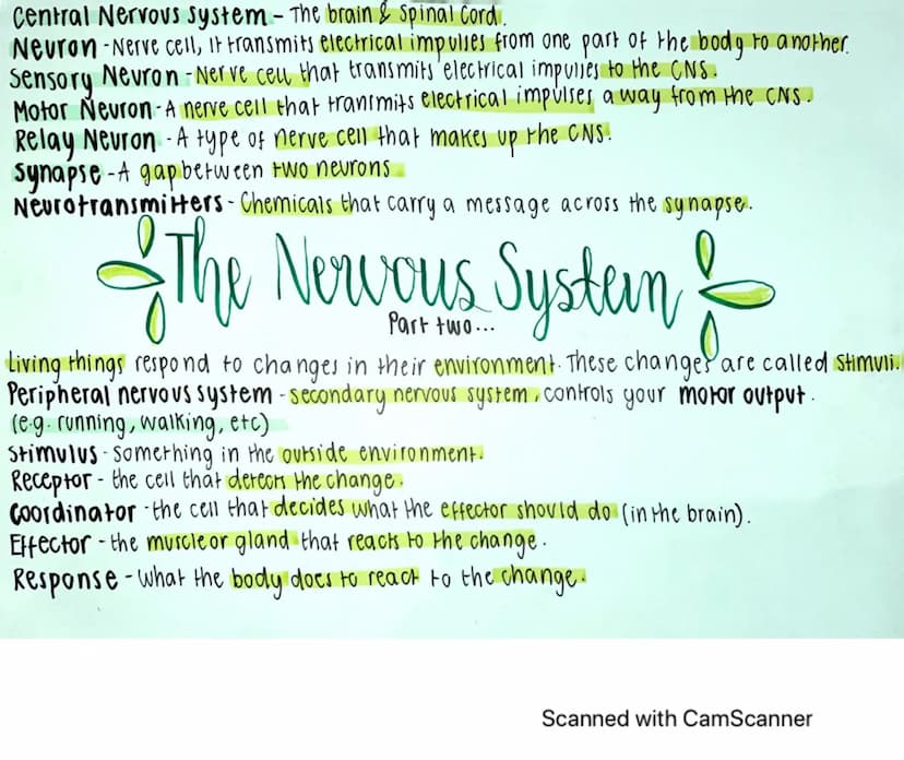 The Nervous system is an Organ system that enables organisms to react to
their environments and to coordinate their behaviour.
The coordinat
