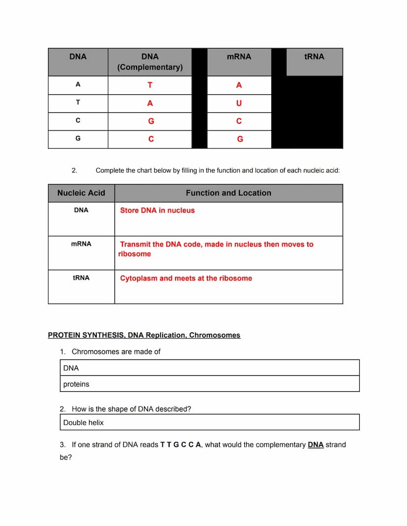 
<h2 id="biologyiixfinalexamreview2023pdf">Biology II X Final Exam Review 2023 PDF</h2>
<p><strong>Genetics</strong></p>
<p><strong>Evolutio