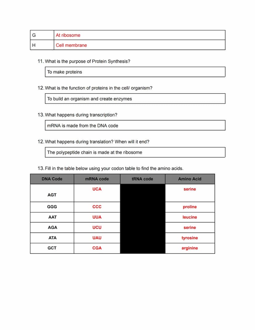 
<h2 id="biologyiixfinalexamreview2023pdf">Biology II X Final Exam Review 2023 PDF</h2>
<p><strong>Genetics</strong></p>
<p><strong>Evolutio