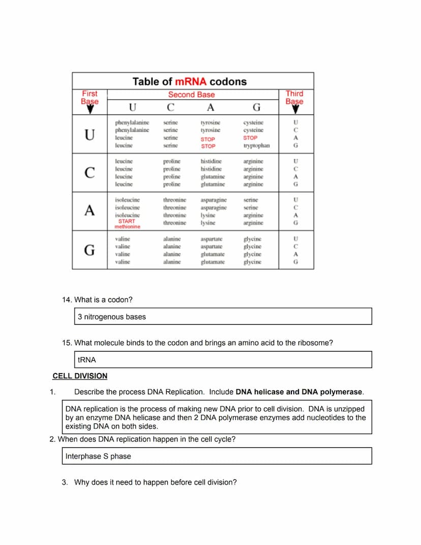 
<h2 id="biologyiixfinalexamreview2023pdf">Biology II X Final Exam Review 2023 PDF</h2>
<p><strong>Genetics</strong></p>
<p><strong>Evolutio