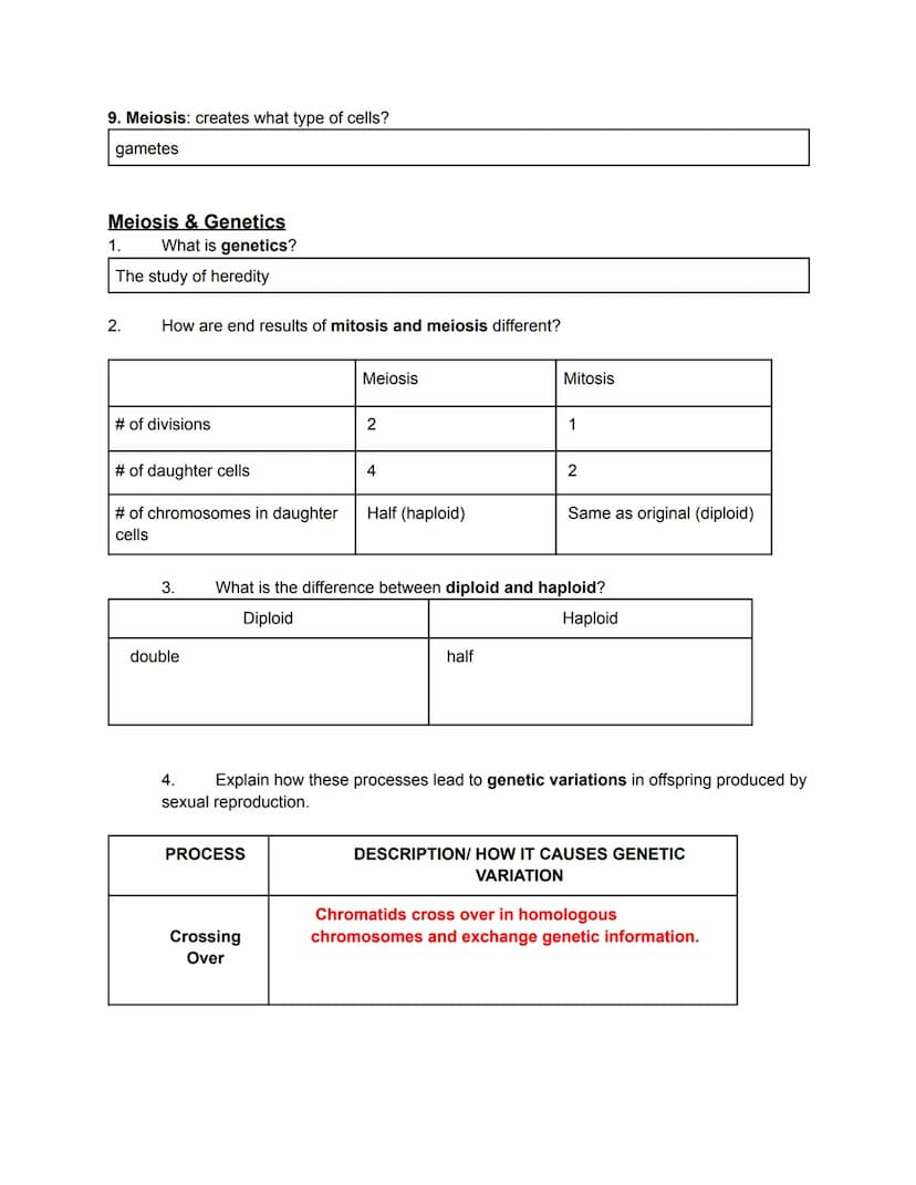 
<h2 id="biologyiixfinalexamreview2023pdf">Biology II X Final Exam Review 2023 PDF</h2>
<p><strong>Genetics</strong></p>
<p><strong>Evolutio