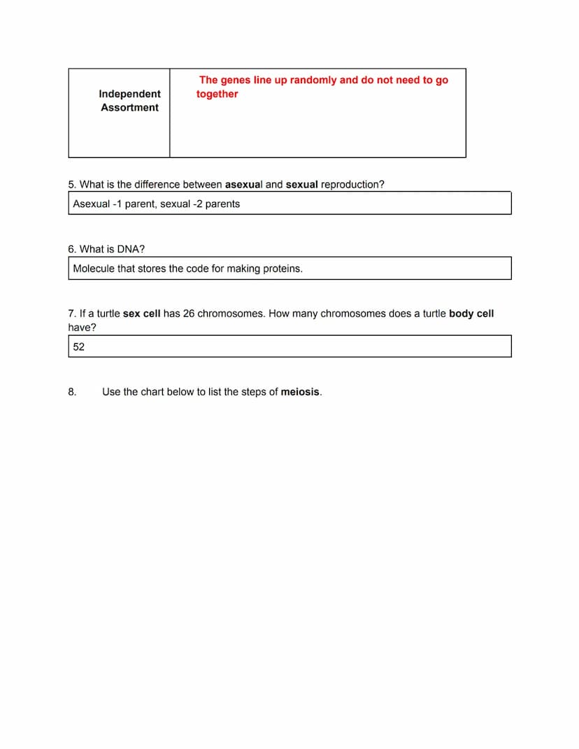 
<h2 id="biologyiixfinalexamreview2023pdf">Biology II X Final Exam Review 2023 PDF</h2>
<p><strong>Genetics</strong></p>
<p><strong>Evolutio