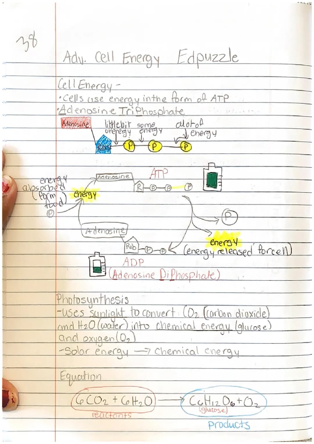 <h2 id="cellenergynotes">Cell Energy Notes</h2>
<p>The concept of cell energy revolves around the use of ATP, which stands for Adenosine Tri