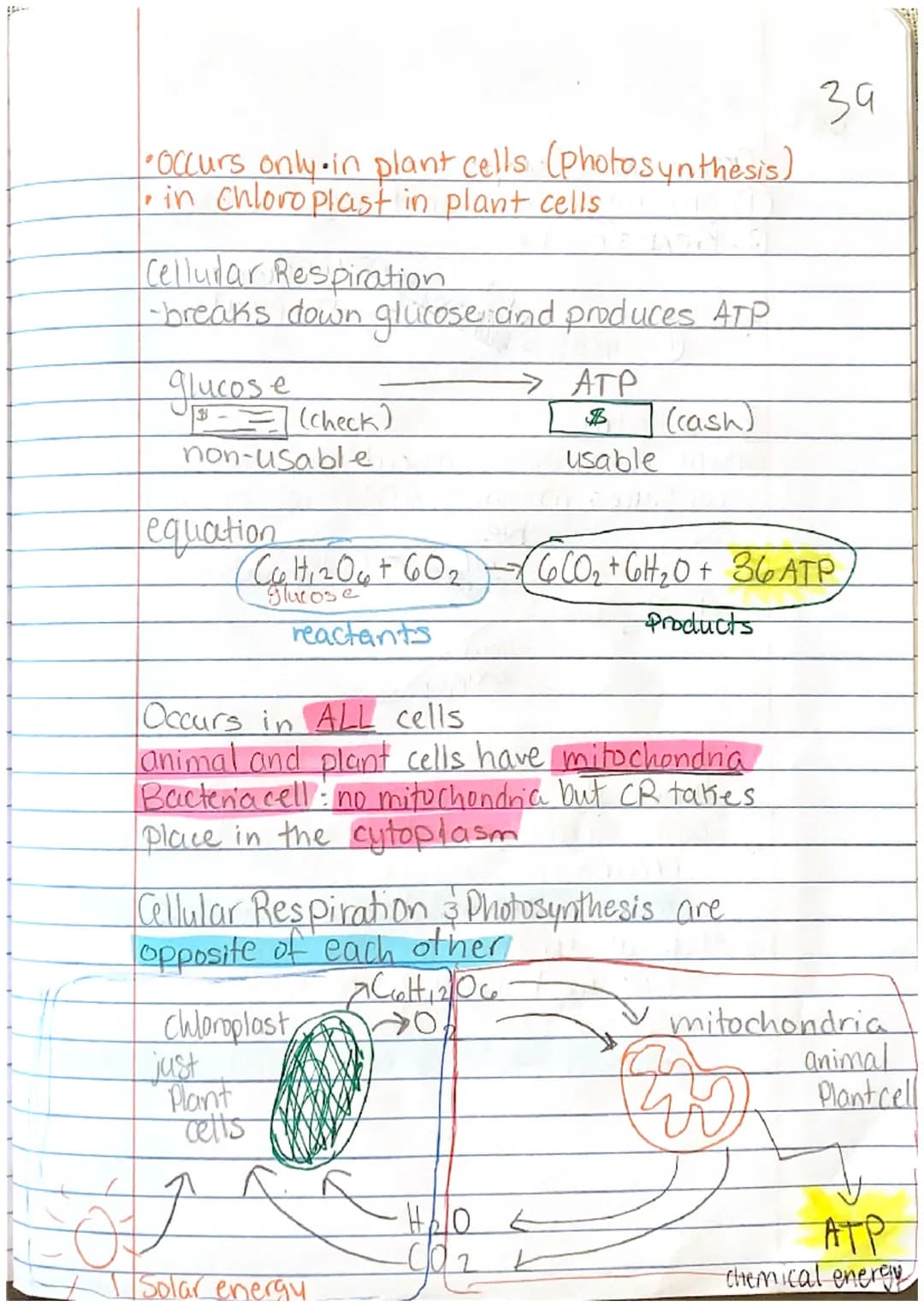 <h2 id="cellenergynotes">Cell Energy Notes</h2>
<p>The concept of cell energy revolves around the use of ATP, which stands for Adenosine Tri