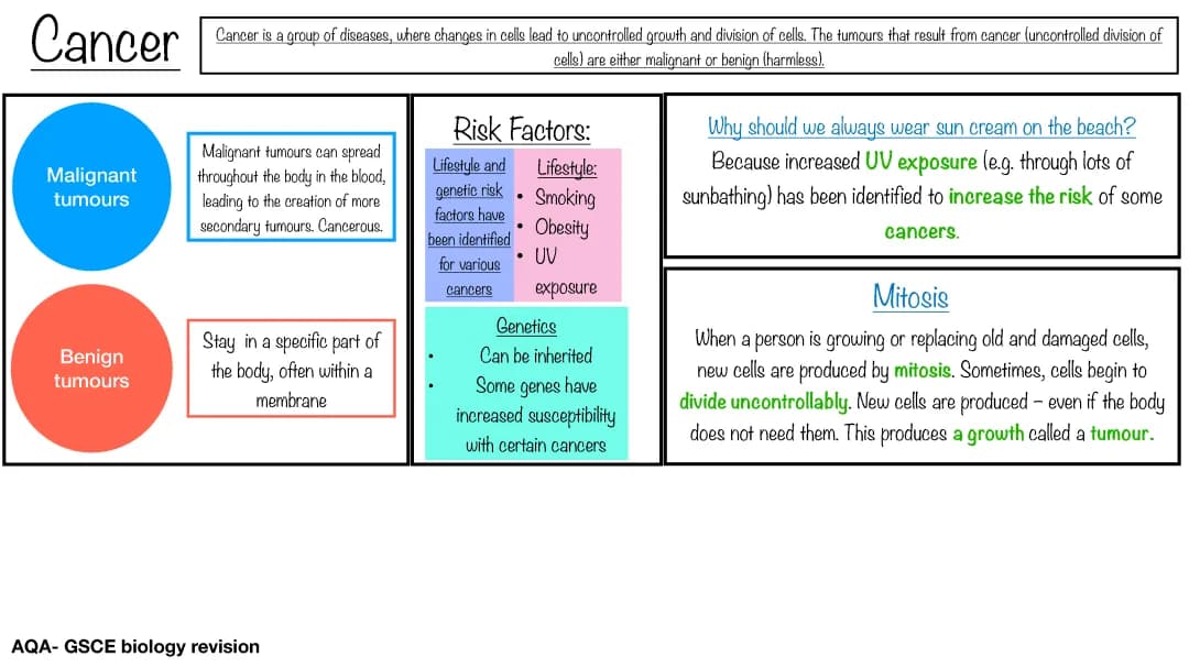 Cancer revision 