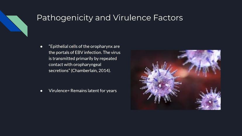 Mononucleosis
By: Jagger Ferrie Causative Agent
Most common cause is Epstein-Barr
virus
O Other viruses may cause similar
symptoms
Virus is 