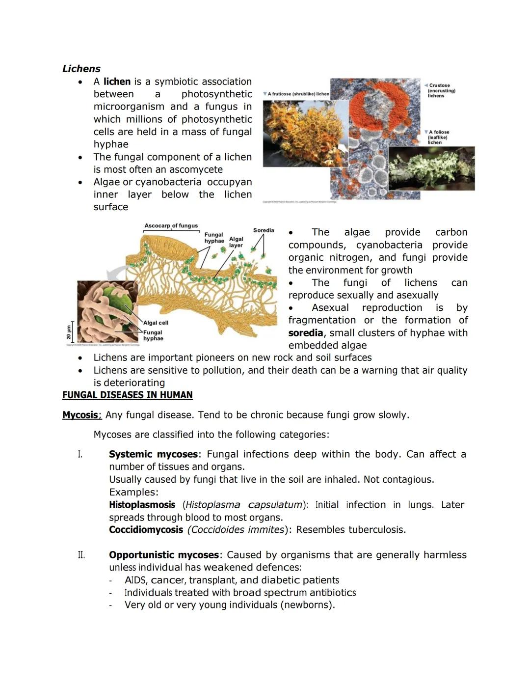 FUNGI, ALGAE, PROTOZOA, and PARASITES
●
Nuclei
Some fungi have hyphae divided into
cells by septa, with pores allowing cell-
to-cell movemen
