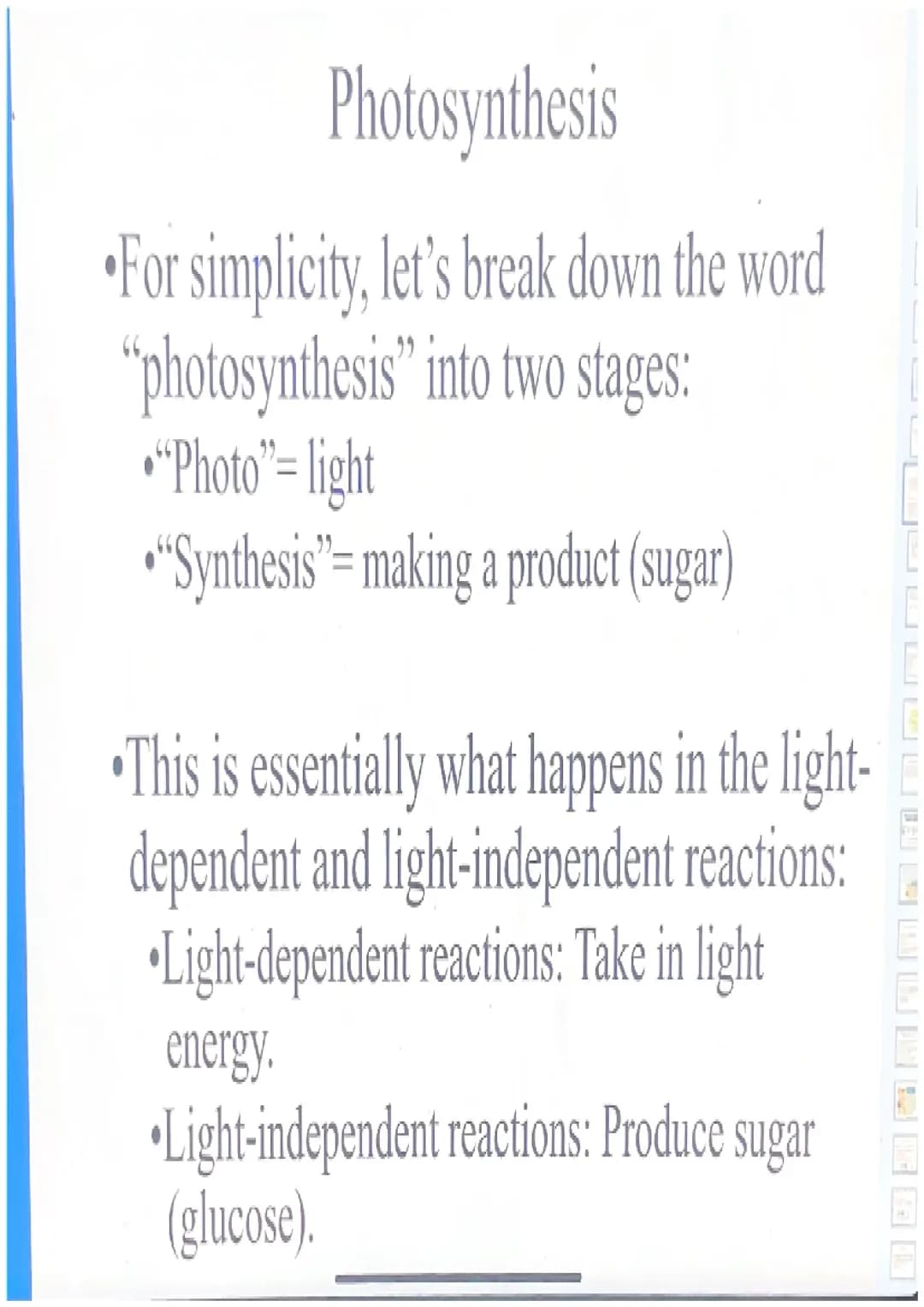All About Photosynthesis: Light-Dependent Reactions, Electron Transport Chain, and the Calvin Cycle