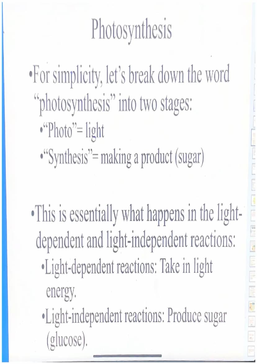 Photosynthesis
For simplicity, let's break down the word
"photosynthesis" into two stages:
"Photo"= light
"Synthesis"= making a product (sug