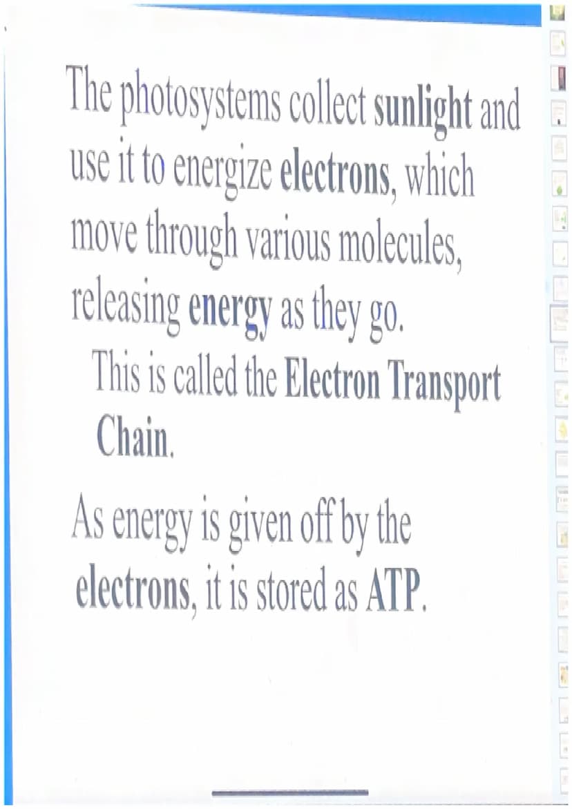 Photosynthesis
For simplicity, let's break down the word
"photosynthesis" into two stages:
"Photo"= light
"Synthesis"= making a product (sug