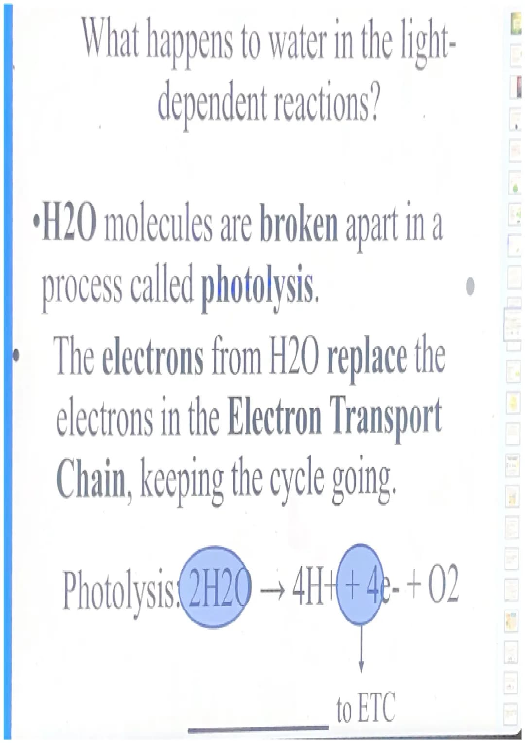 Photosynthesis
For simplicity, let's break down the word
"photosynthesis" into two stages:
"Photo"= light
"Synthesis"= making a product (sug