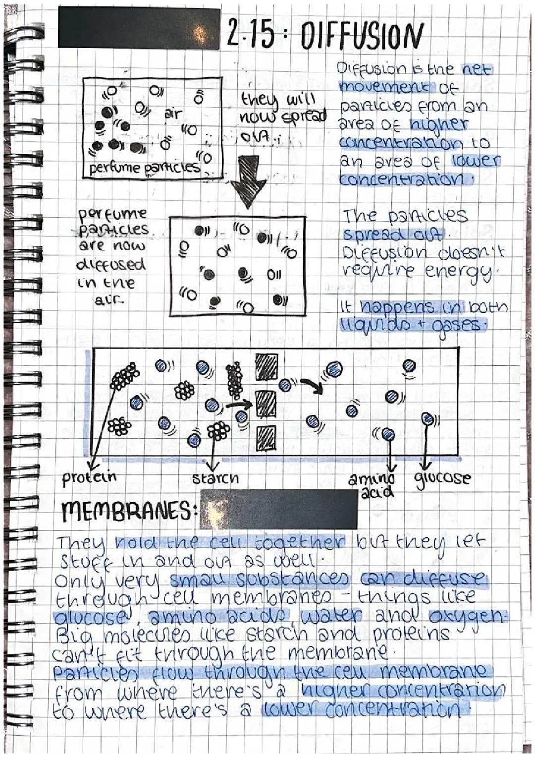 How Stuff Moves: From Cell Membranes to Osmosis in Plants and Animals