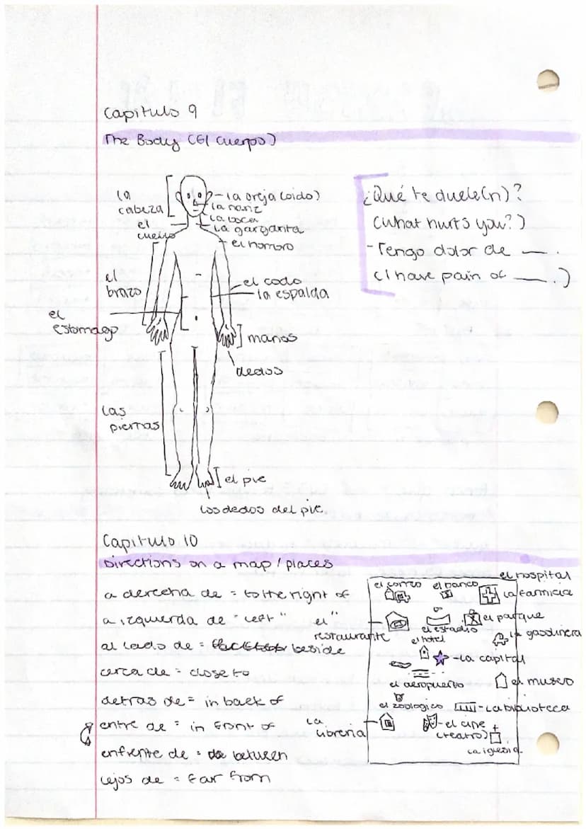 SPANISH FINAL
Capítulo 8
Conjugating vertos
vivir: to live
vivo
vives
vive
vivimos
vivis
viven
PRESENT
vivi /vivimos
vriste vivisteis
vivo
v