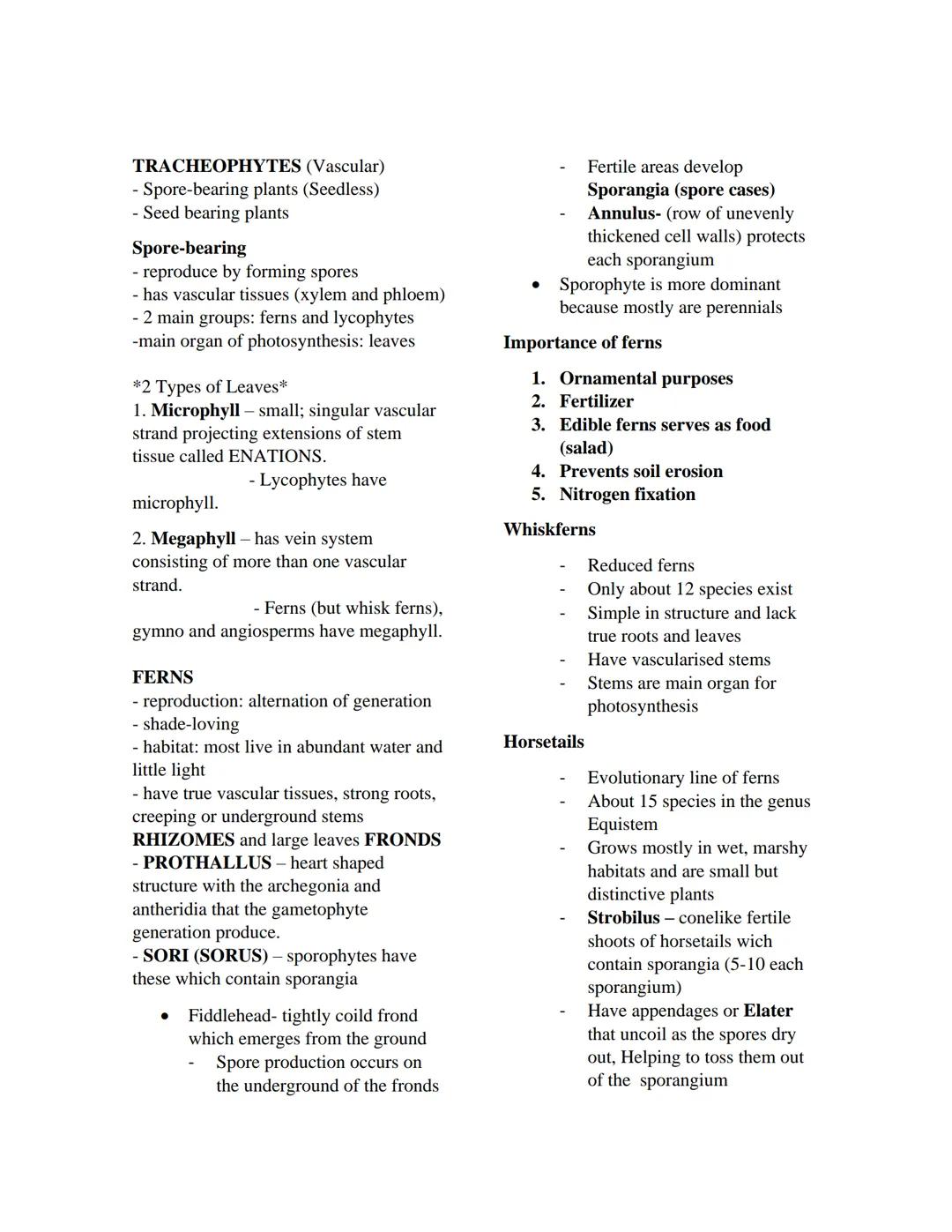 TRACHEOPHYTES (Vascular)
- Spore-bearing plants (Seedless)
- Seed bearing plants
Spore-bearing
- reproduce by forming spores
- has vascular 
