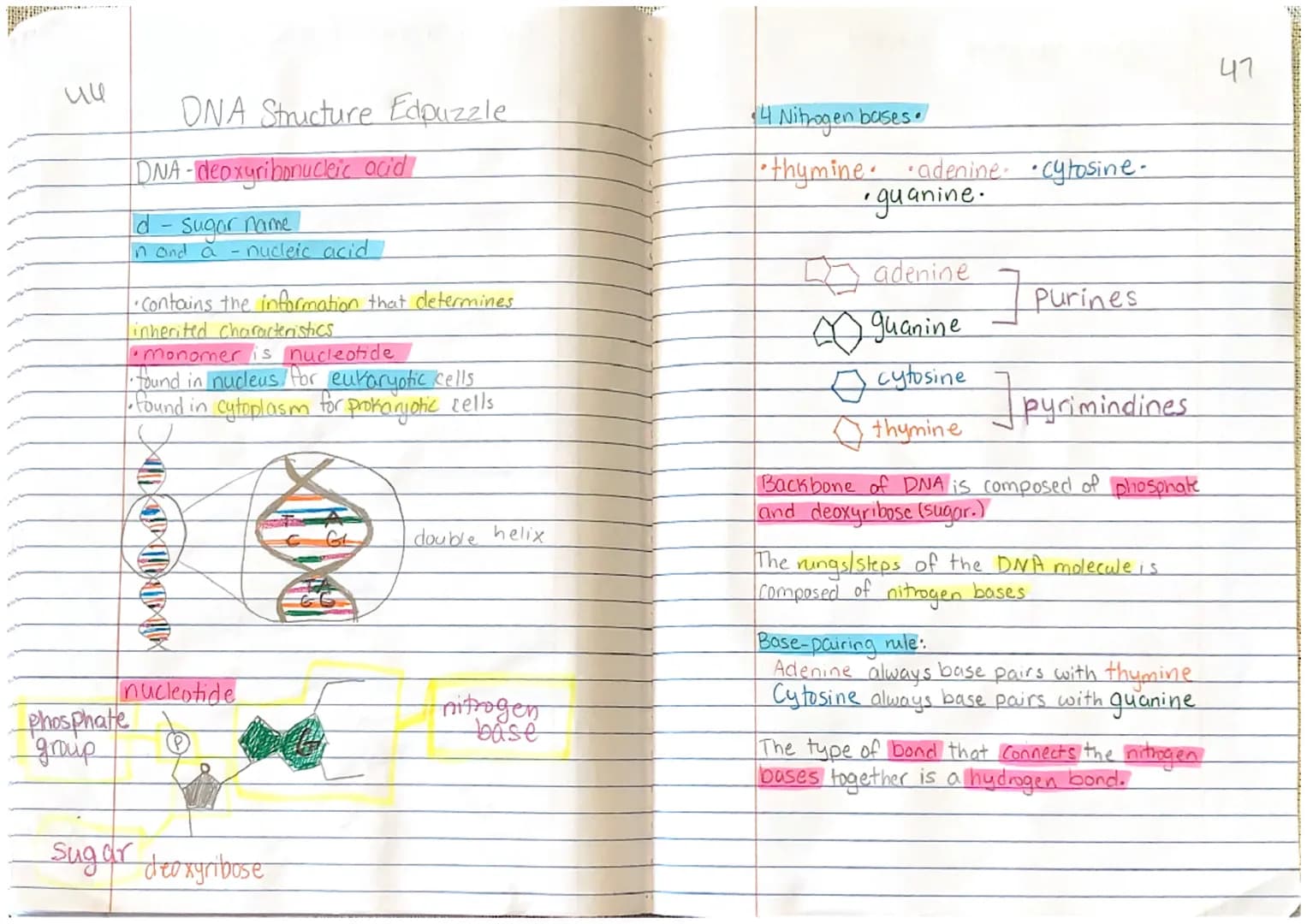ии
ONA Structure Edpuzzle
DNA-deoxyribonucleic acid
Id - sugar name
in and a
- nucleic acid
Phosphate
group
•Contains the information that d