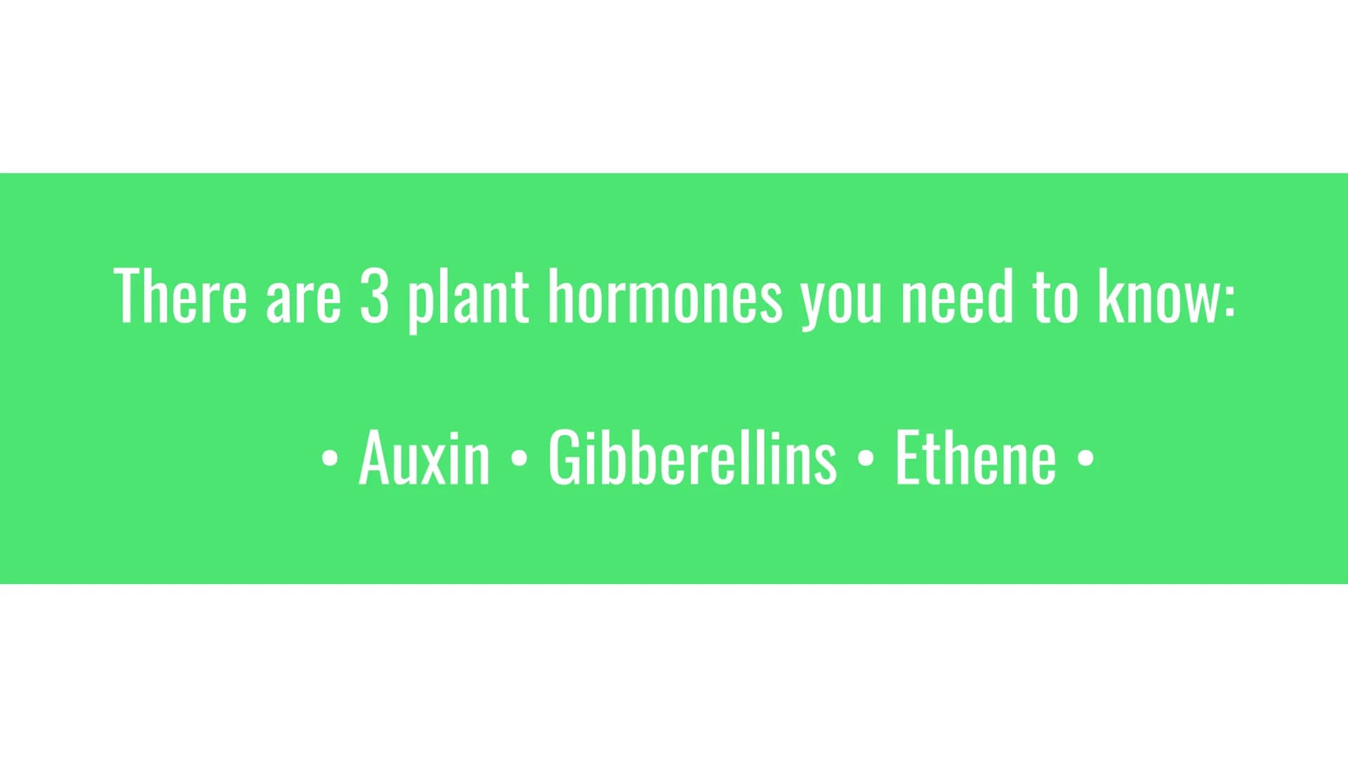Plant Hormones
Functions and Examples There are 3 plant hormones you need to know:
Auxin Gibberellins • Ethene Auxins
Phototropism
Phototrop