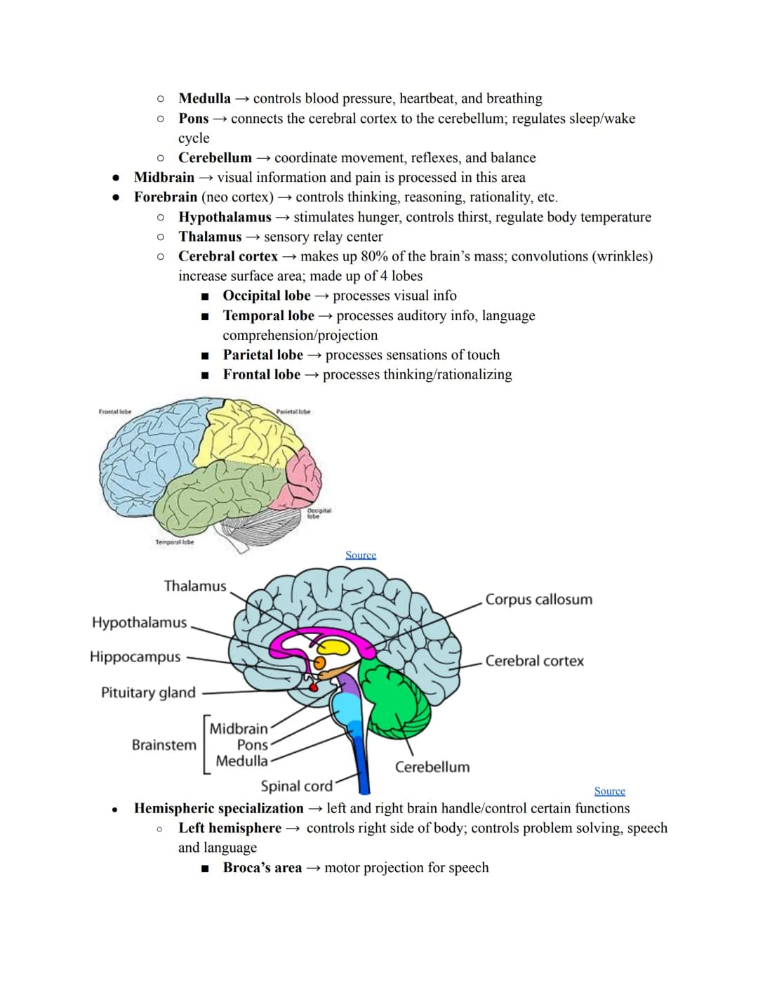 Chapter 2, Pt. 1 ~
Nervous System & Neurons
Communication Systems
● Two systems that coordinate behavior
O Nervous system (instantaneous)
O

