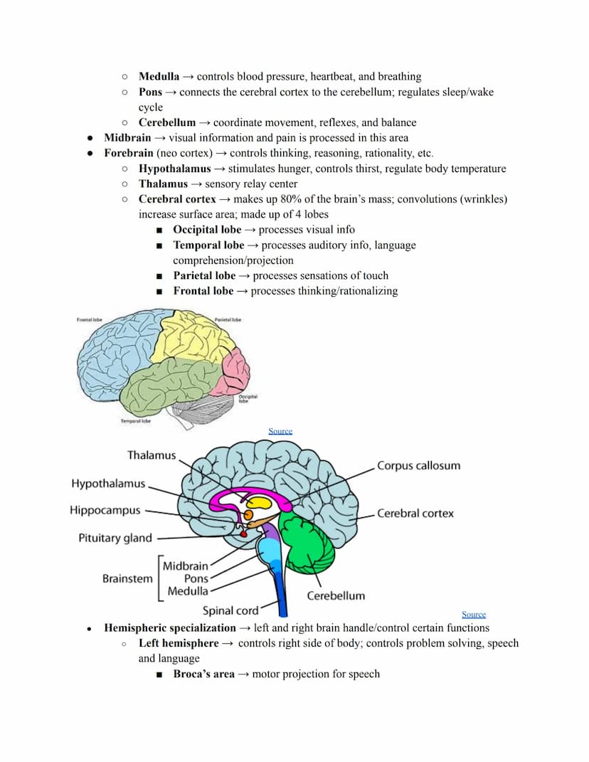 Chapter 2, Pt. 1 ~
Nervous System & Neurons
Communication Systems
● Two systems that coordinate behavior
O Nervous system (instantaneous)
O
