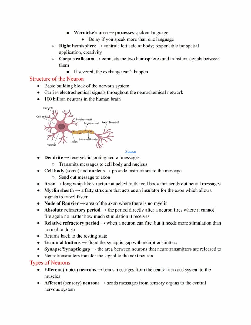 Chapter 2, Pt. 1 ~
Nervous System & Neurons
Communication Systems
● Two systems that coordinate behavior
O Nervous system (instantaneous)
O
