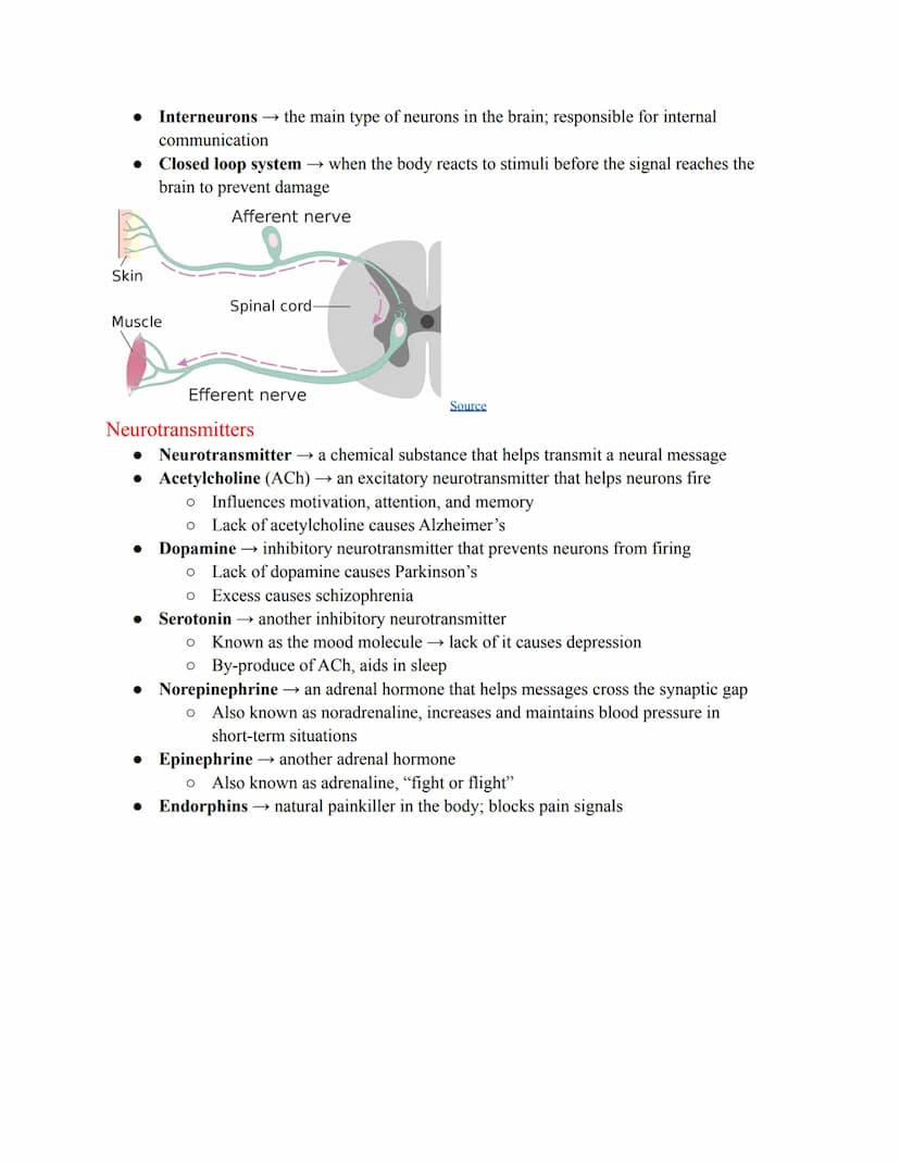 Chapter 2, Pt. 1 ~
Nervous System & Neurons
Communication Systems
● Two systems that coordinate behavior
O Nervous system (instantaneous)
O
