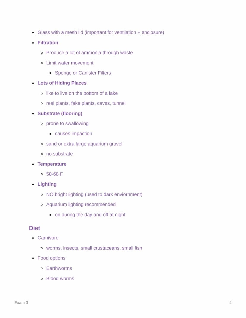 Exam 3
Exam 3
Created
Ⓒ Class
Ⓒ Type
Materials
Reviewed
@March 27, 2023 11:54 AM
AVS 325
Lecture
Axolotls
• Order Caudata
• fully aquatic
o 