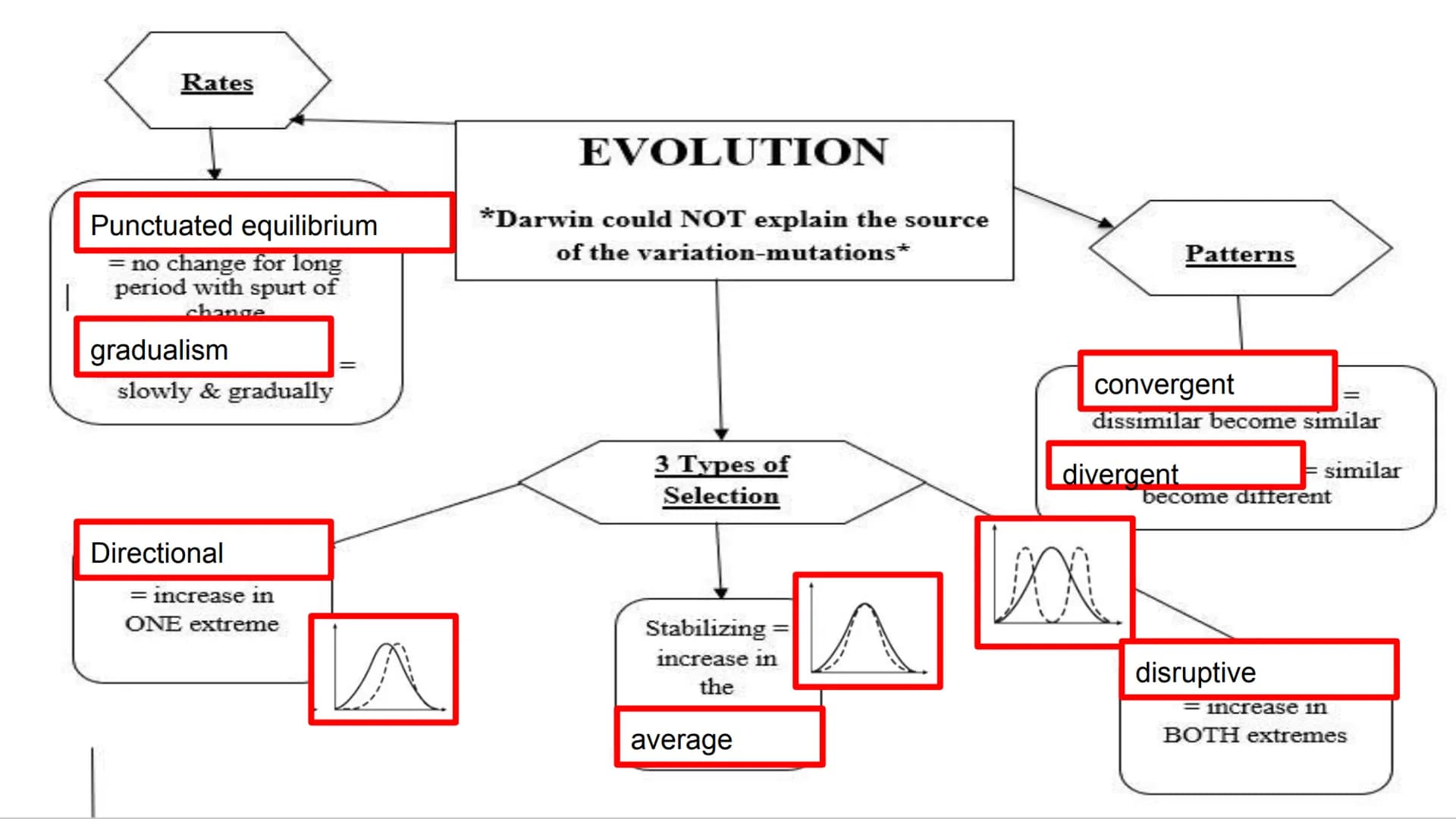EOC Review Day 7
Evolution &
Unity and Diversity Evidence
Fossil - Trace of organism
Relative dating= lower older
• Comparative anatomy
O
Ho
